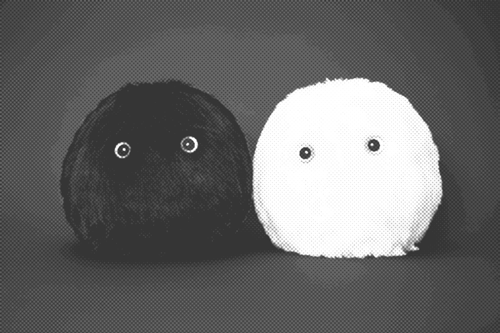 ネモフ - nemoph -